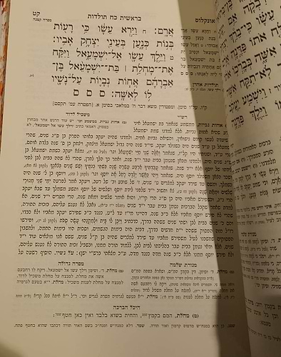חומש היכל הברכה - במדבר /  ר' יצחק יהודה יחיאל ספרין מקאמרנא
