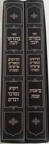 בתורתו יהגה
