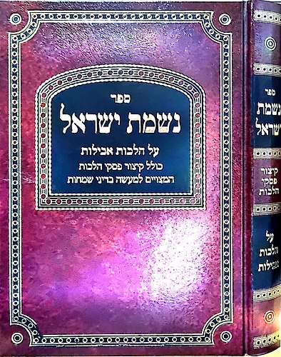 נשמת ישראל - אבלות / הגאון הרב הרפענעס שליט