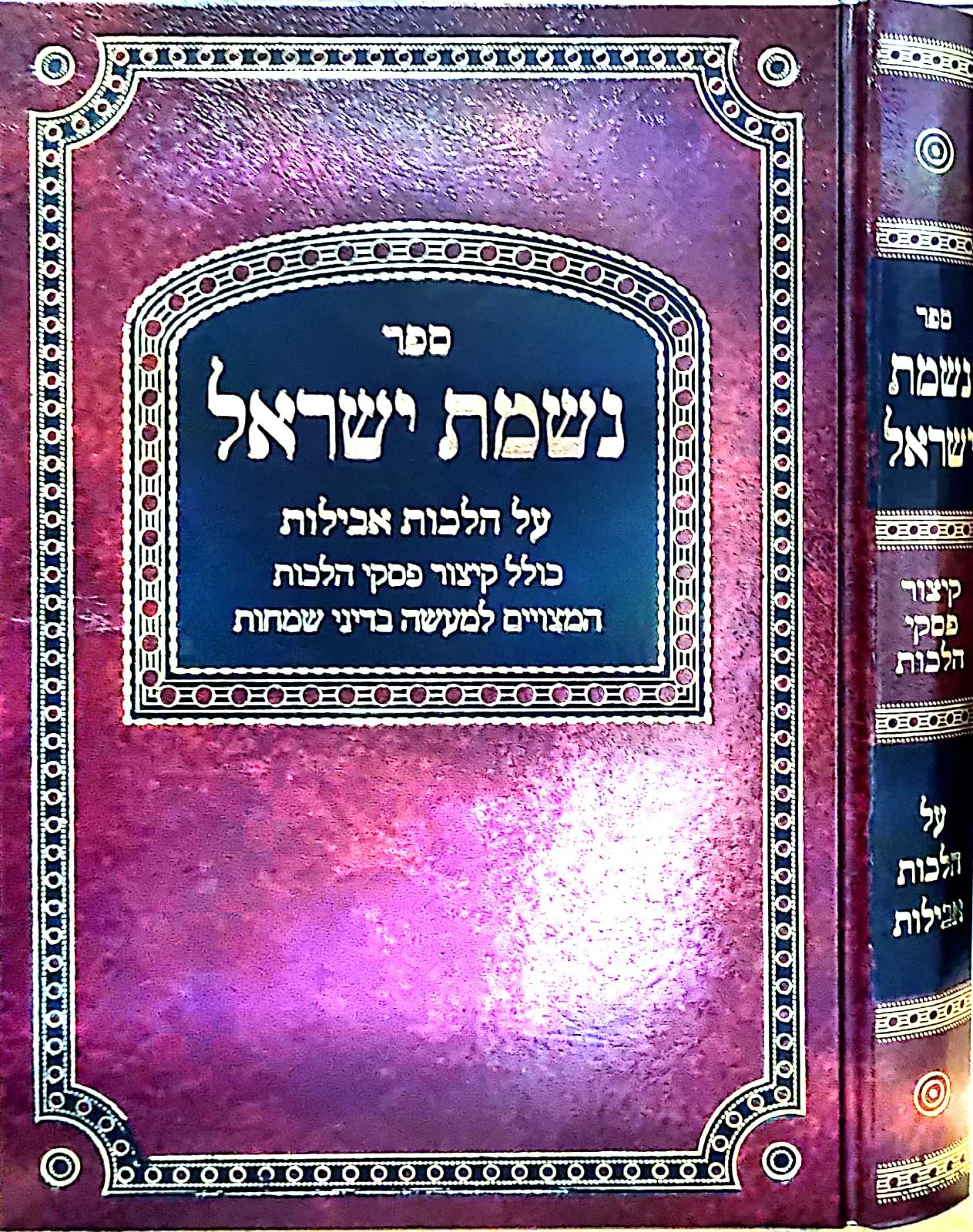 נשמת ישראל - אבלות / הגאון הרב הרפענעס שליט"א