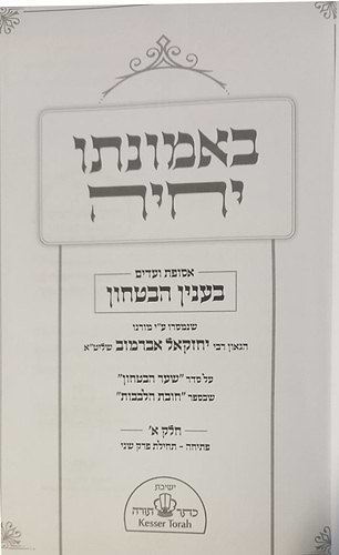 באמונתו יחיה - אסופת ועדים בענין הבטחון / הגאון רבי יחזקאל אברמוב שליט