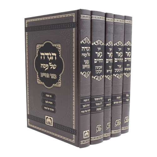באר החיים ה' כרכים - מועדים / הרב אברהם אלימלך בידרמן שליט