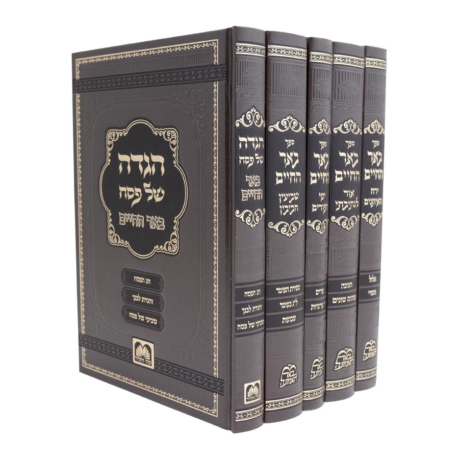 באר החיים ה