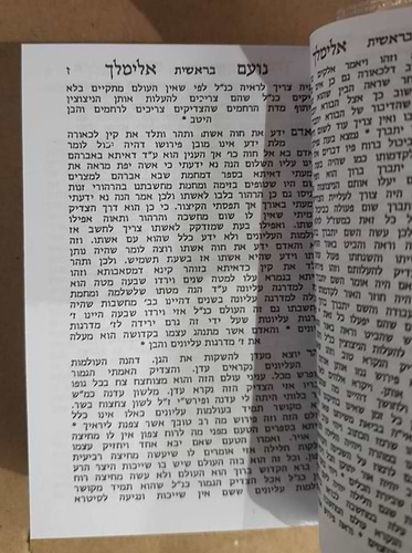 נועם אלימלך בניילון / פורמט כיס