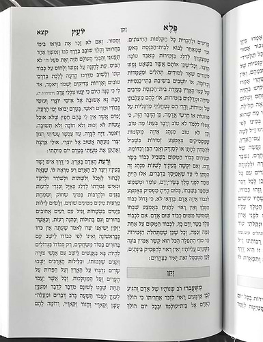פלא יועץ מנוקד - בכרך אחד (הוצאת יפה נוף) / ר' אליעזר פאפו