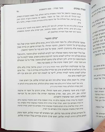 הקדמות וביאורים למורה נבוכים / להרמב