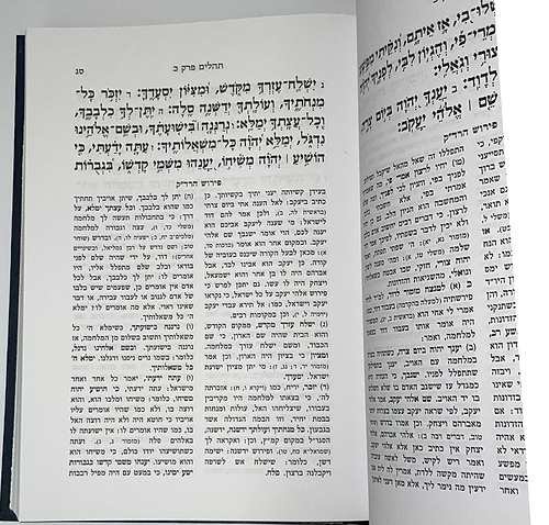 תהלים עם פירוש השלם לרד