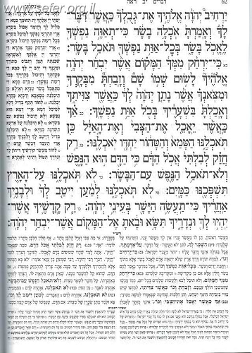 חומש למען שמו באהבה - במדבר