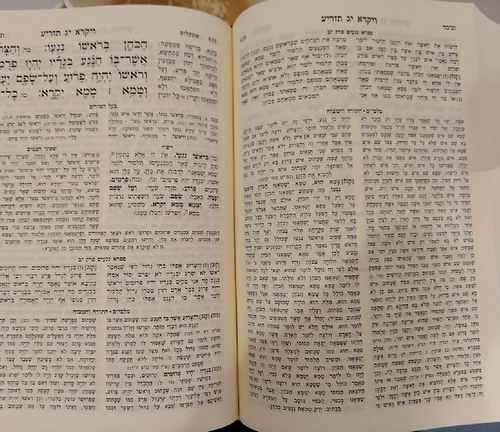 מלבי