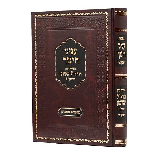 עניני חינוך - מתורת מרן הגראי