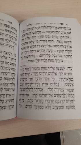 סידור עבודת השם לבת ישראל עם תהילים פורמט בינוני ורוד