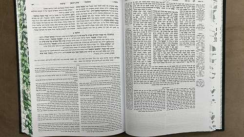 סט שוטנשטיין תלמוד ירושלמי נא' כרכים / פורמט גדול 