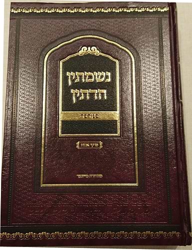 נשמתין חדתין - במדבר / הרב י.מ מורגנשטרן