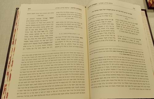 נשמתין חדתין - ויקרא / הרב י.מ מורגנשטרן