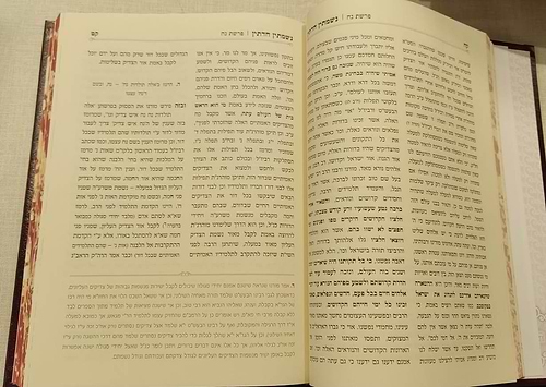 נשמתין חדתין - בראשית ב' כרכים / הרב י.מ מורגנשטרן