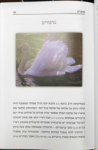 נשמת כל חי - בעלי חיים בדברי חז