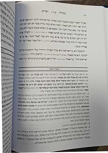 מסילת ישרים - עם ביאור משרת משה