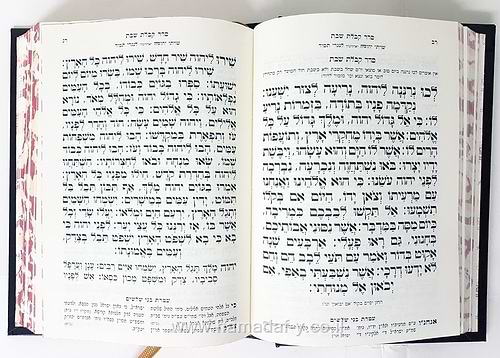 סידור בית הלוי - ע