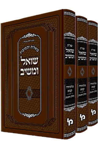 שו"ת שואל ומשיב יב