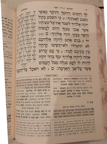 חמשה חומשי תורה שפה ברורה ה' כרכים (כריכה כחולה) / עוז והדר