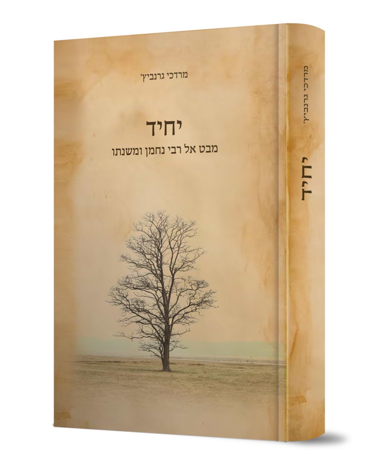 יחיד - מבט אל רבי נחמן ומשנתו / מרדכי גרנביץ