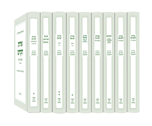 סט ביאורים לספר אורות י' כרכים / הרב זאב סולטנוביץ’
