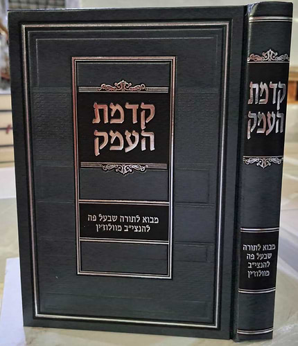 קדמת העמק - מבוא לתורה שבעל פה להנצי