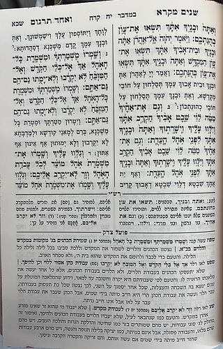 שניים מקרא ואחד תרגום ב' כרכים / עוז והדר