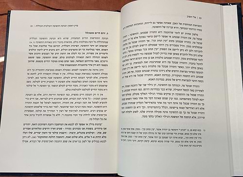 אלי תשוב – מהלכי תשובה לאור אורות התשובה / הרב אברהם יהושע צוקרמן