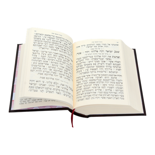 חמשה חומשי תורה מהדורת בית כנסת עם תפילות לשבת - נוסח אשכנז / עוז והדר