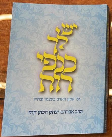 יש לך כנפי רוח - מהדורת כיס / הראי