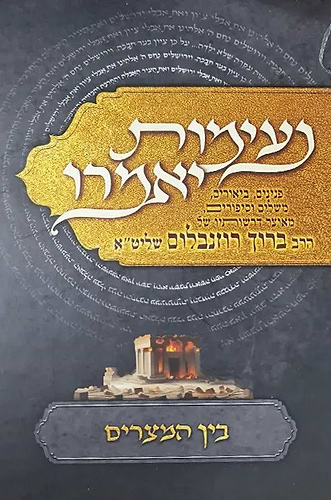 נעימות יאמרו בין המצרים / הרב ברוך רוזנבלום שליט