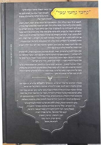 נעימות יאמרו בין המצרים / הרב ברוך רוזנבלום שליט