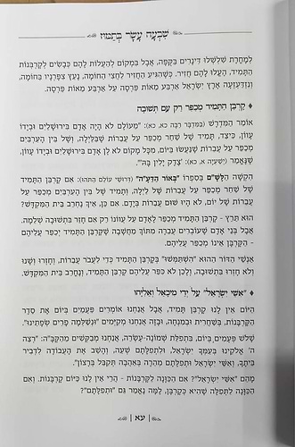נעימות יאמרו בין המצרים / הרב ברוך רוזנבלום שליט
