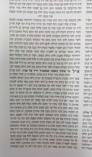 אמרי שפר על הש