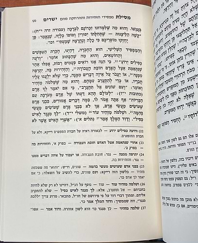 מסילת ישרים לרמח