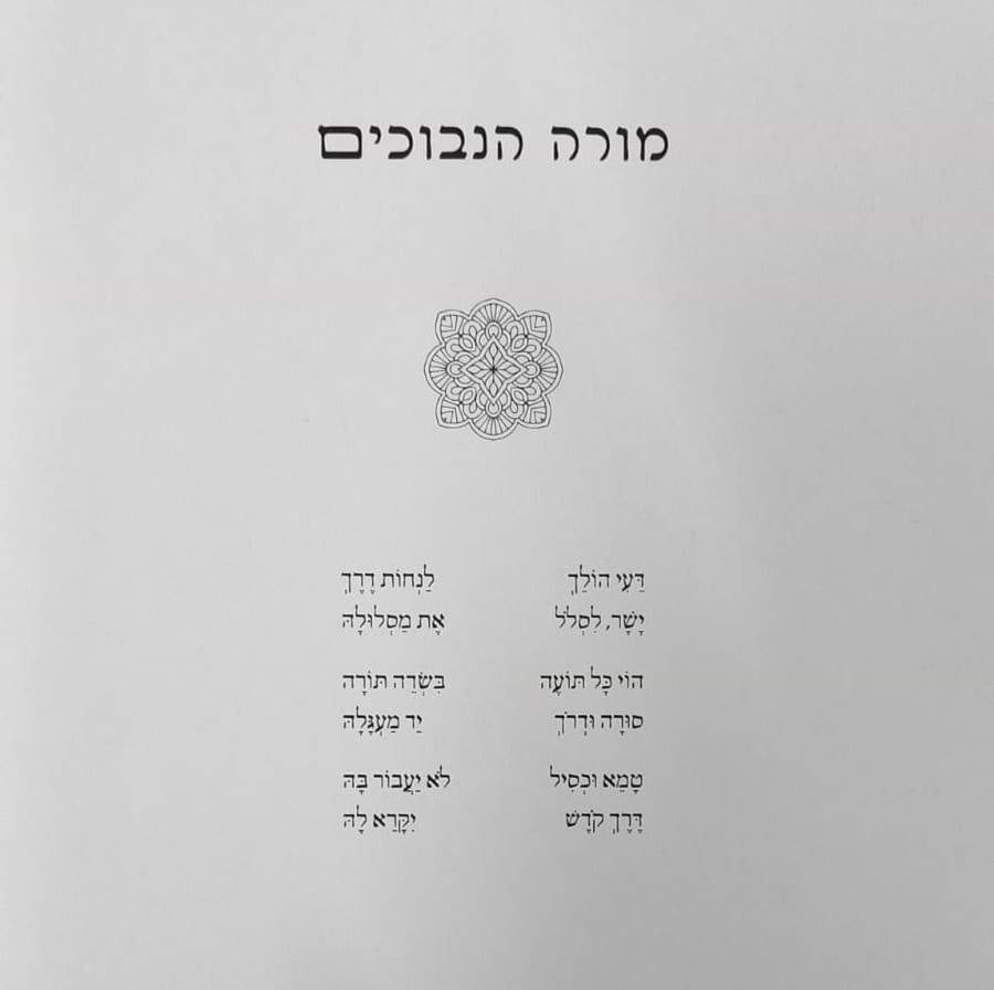 מורה הנבוכים לרמב