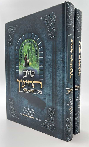 טיב החינוך ב' כרכים / הרב גמליאל הכהן רבינוביץ