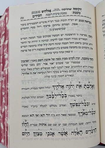 סידור משנת חסידים - שבת קודש / ר' רפאל עמנואל חי ריקי זיע