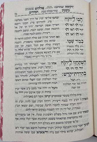 סידור משנת חסידים - שבת קודש / ר' רפאל עמנואל חי ריקי זיע