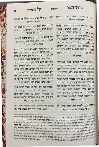 פירוש הטור הארוך על התורה / מכון המאור