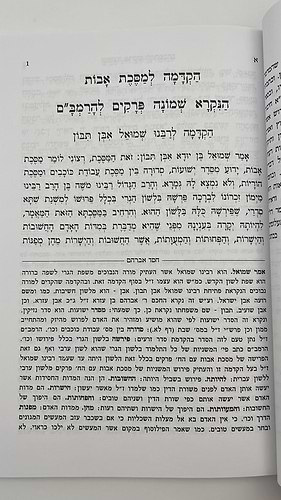 שמונה פרקים להרמב