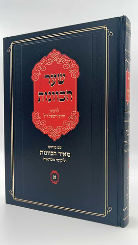 שער הכוונות עם פירוש מאיר הכוונות - חלק א' / הרב יהושע ליפשיץ