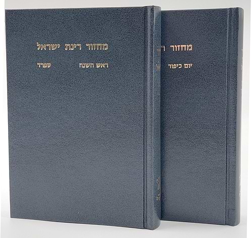 מחזורים רינת ישראל ב' כרכים - נוסח אשכנז / פורמט גדול