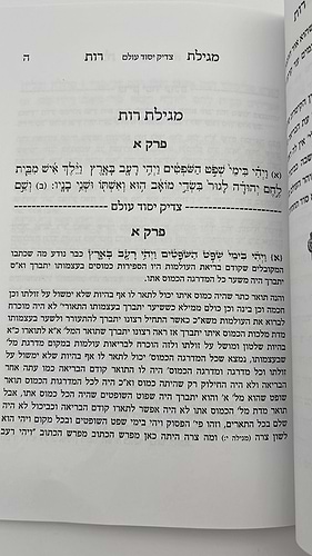 צדיק יסוד עולם - פירוש על מגילת רות / רבינו האר