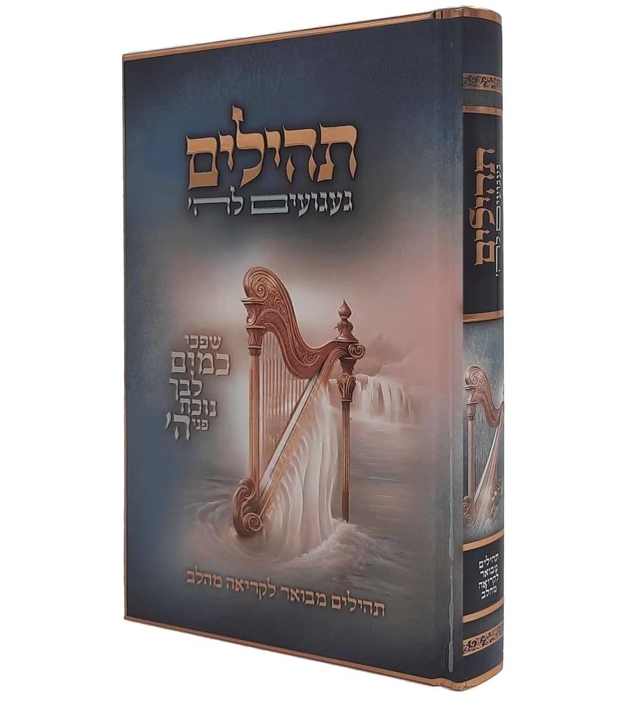 תהילים מאירים - געגועים לה