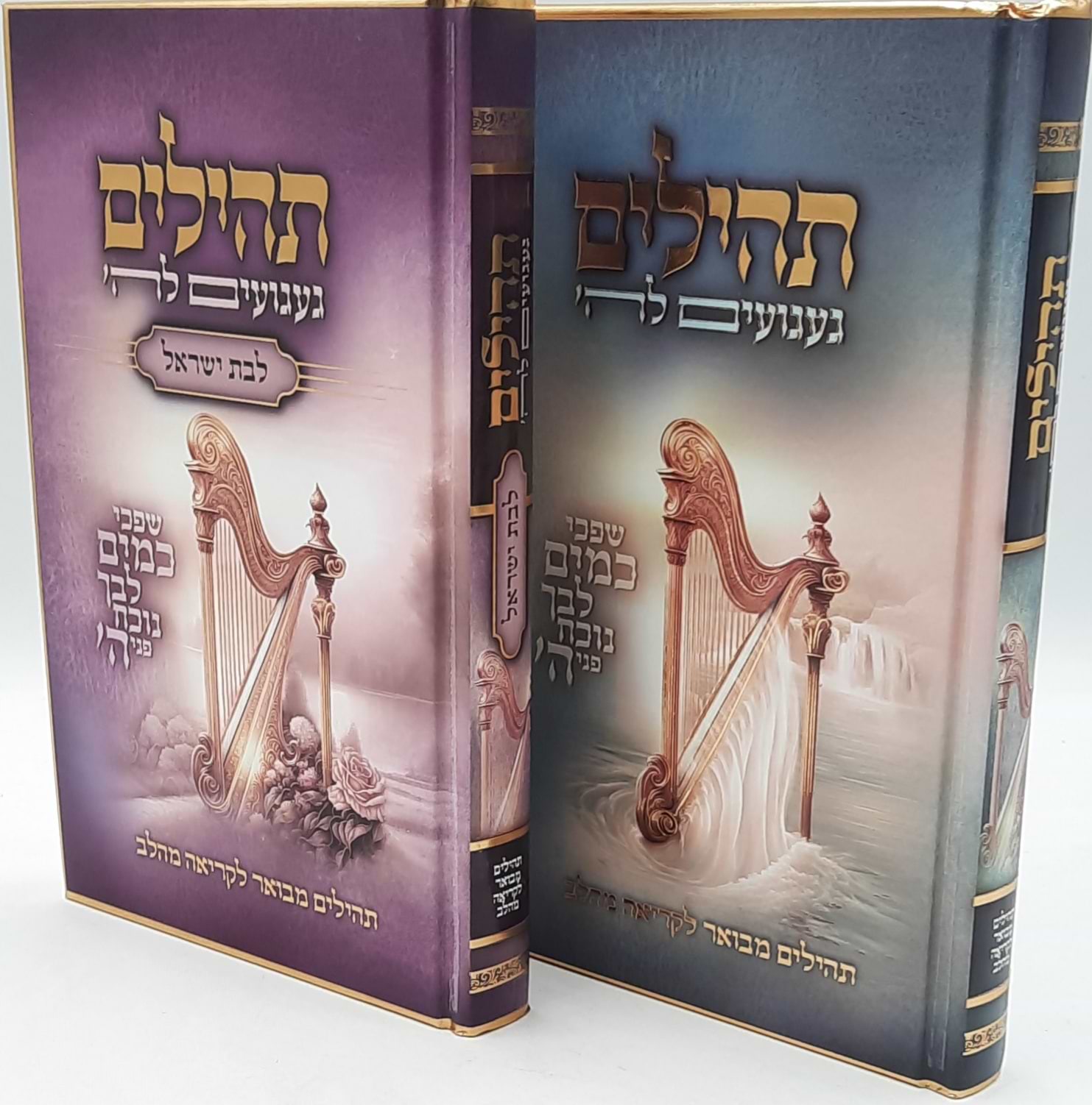 תהילים מאירים לבן ולבת ב