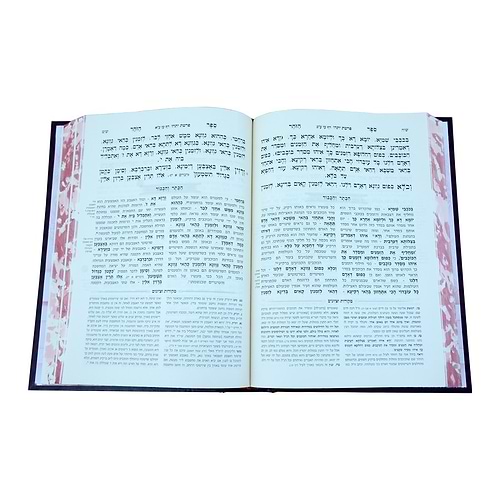 זוהר המבואר הכתר והכבוד - שמות ג' / עוז והדר