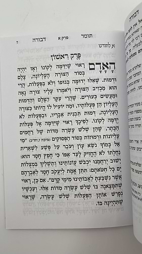 תומר דבורה פורמט כיס מוגדל - מחולק לימות החודש / אור דוד