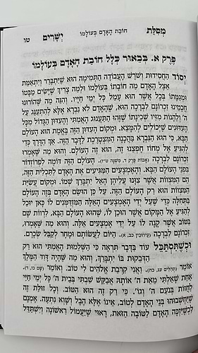 מסילת ישרים - מנוקד